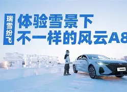 中国官网-佩莱里亚空降京城，亚泰转会传言再起风云的简单介绍